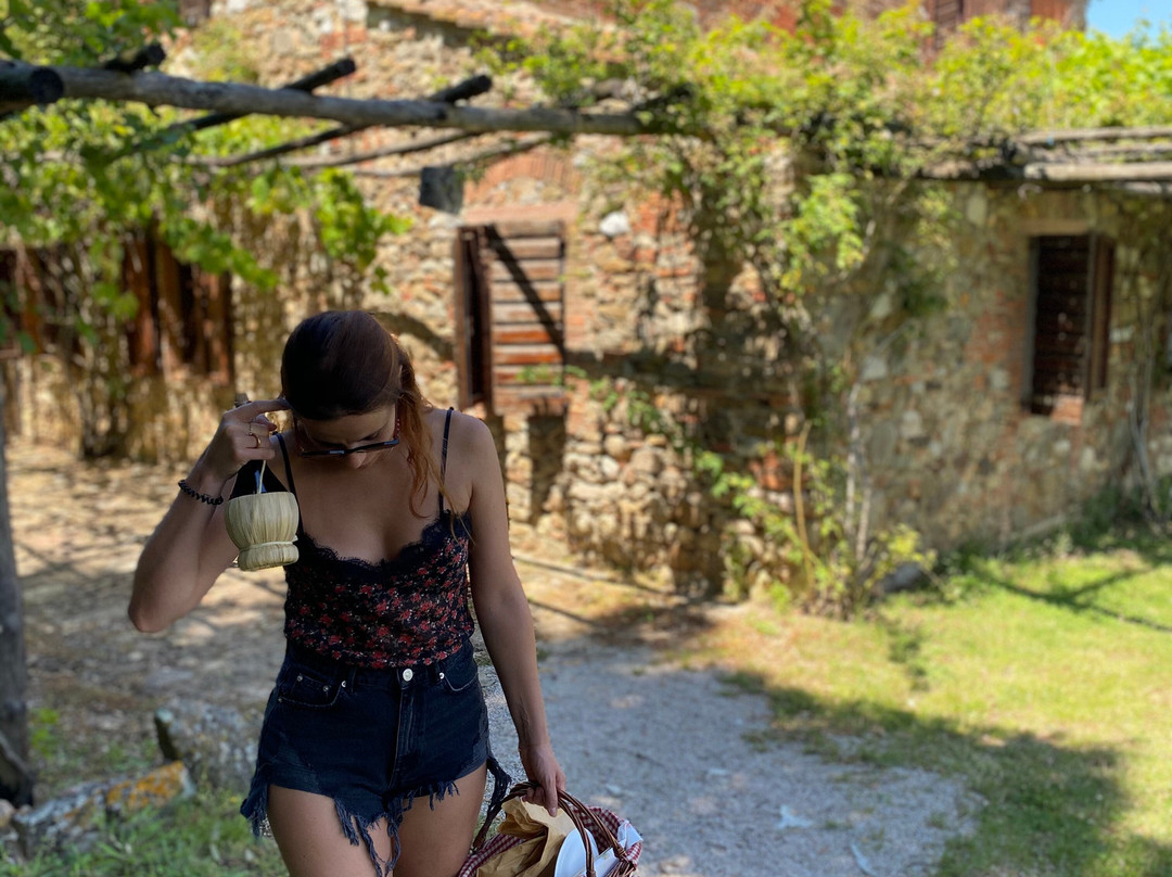Podere La Cerreta主图
