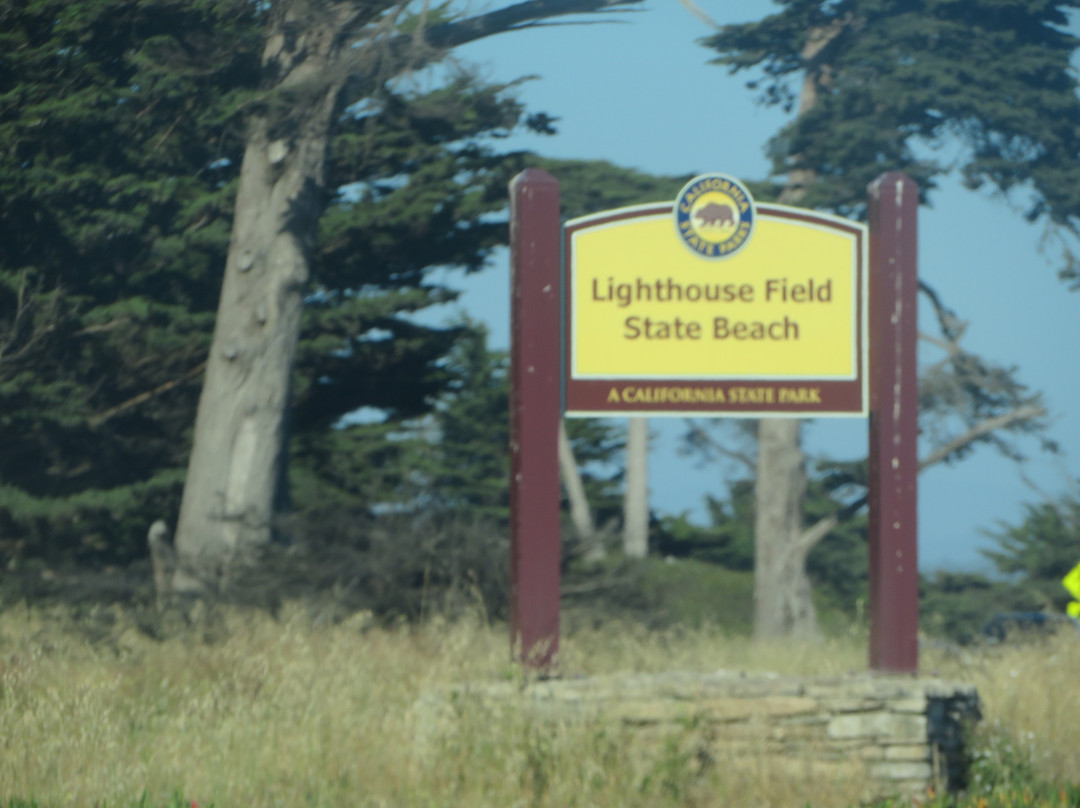 Lighthouse Field State Beach-圣克鲁斯必去景点
