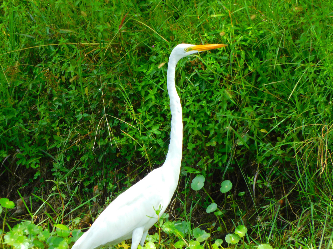 Bayhead Action Park-拉哥必去景点