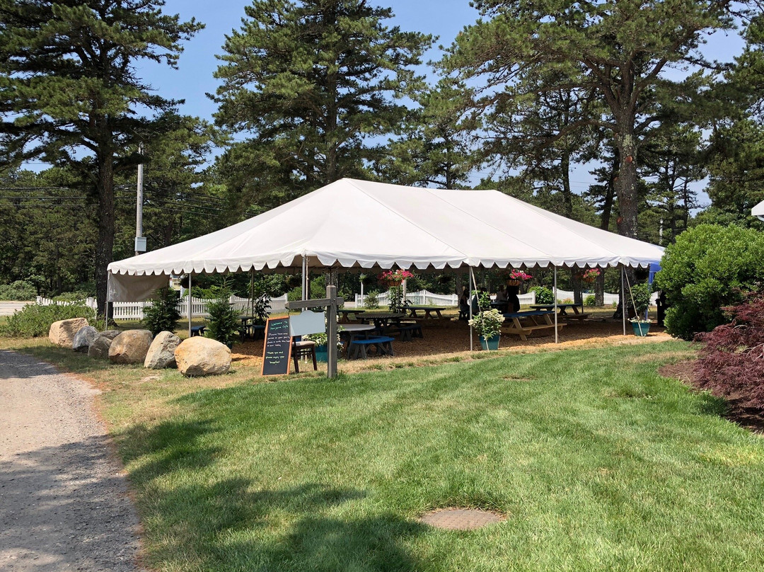 Wellfleet Motel主图