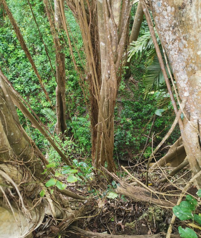 Easy Hall旅游攻略图片