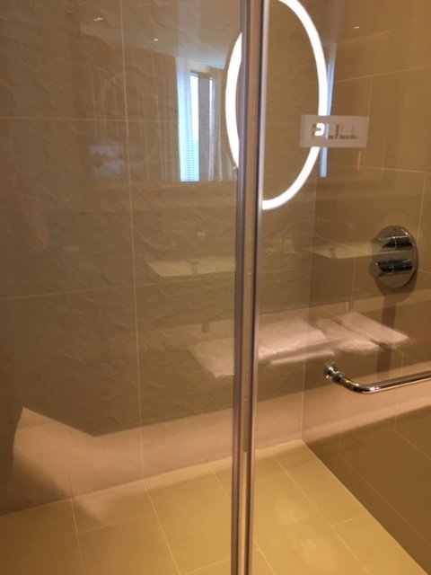 Hilton Batumi-浴室