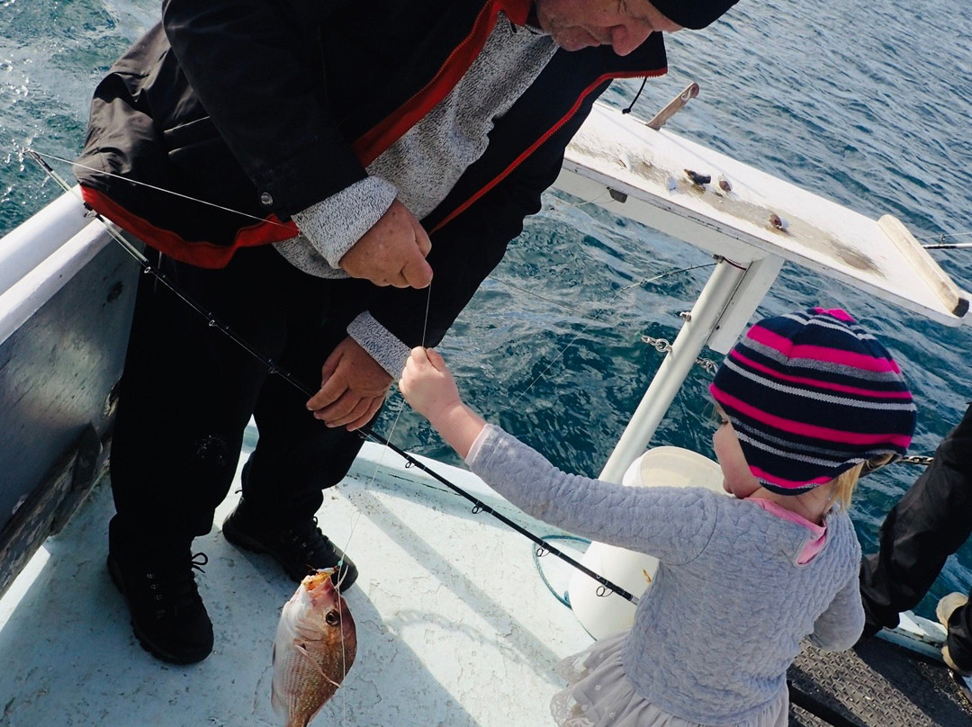 Fishing Waiheke - Day Tours-怀系奇岛必去景点