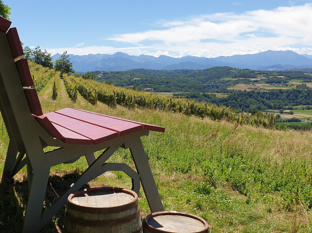 Panchina Gigante Vinaccia 43-Ciglie必去景点