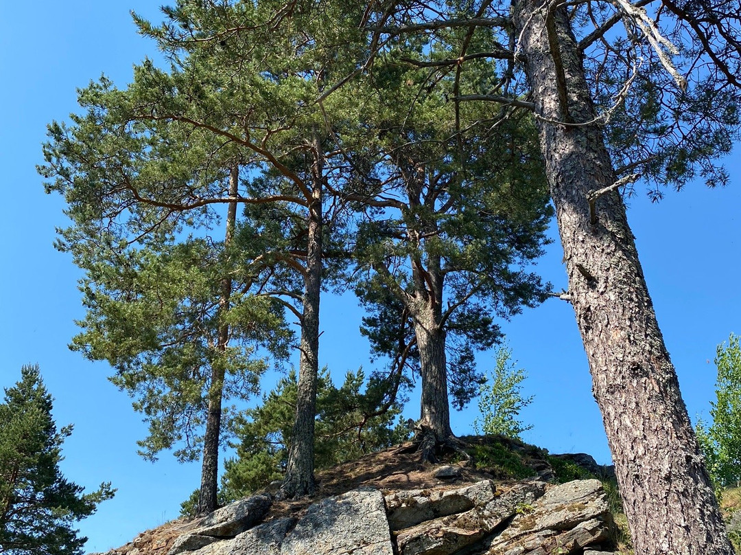 Rysya Mountain景点图片