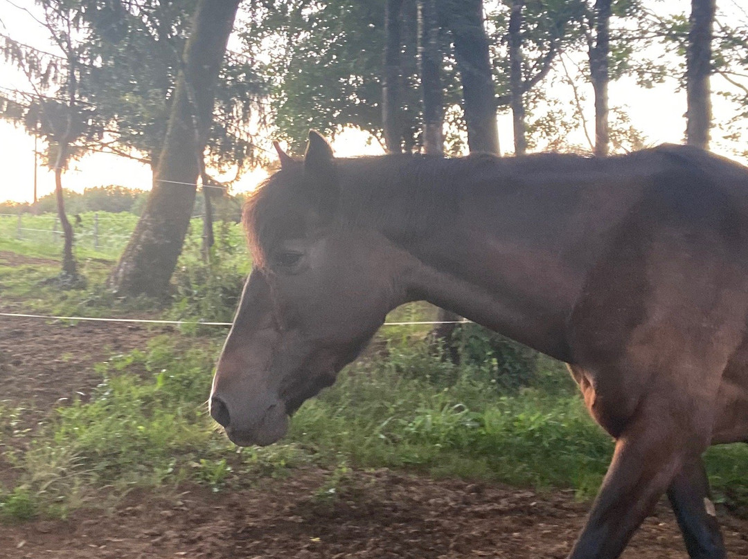 Le Domaine Du Pompinaud主图