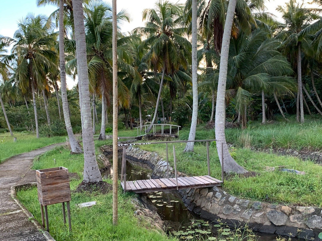 OYO Pousada Bica Da Pedra主图