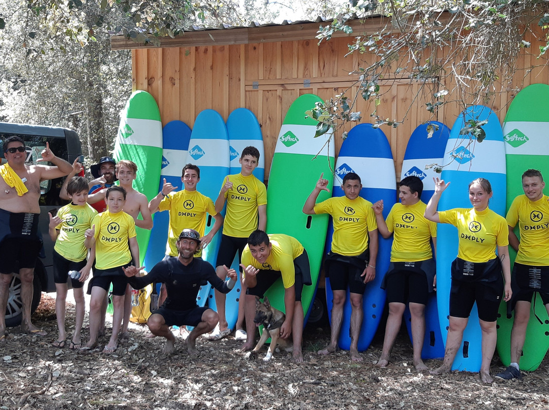 SURFARI景点图片