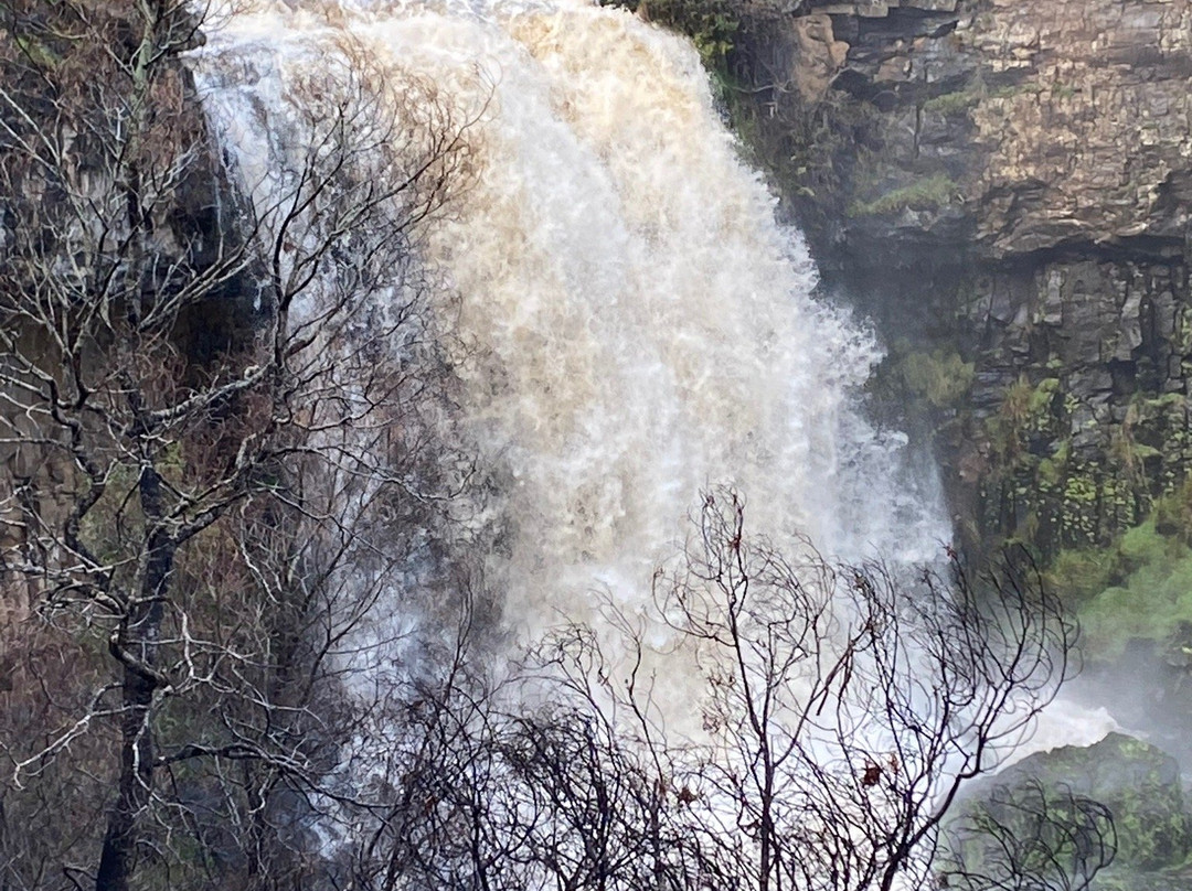 Paddys River Falls景点图片