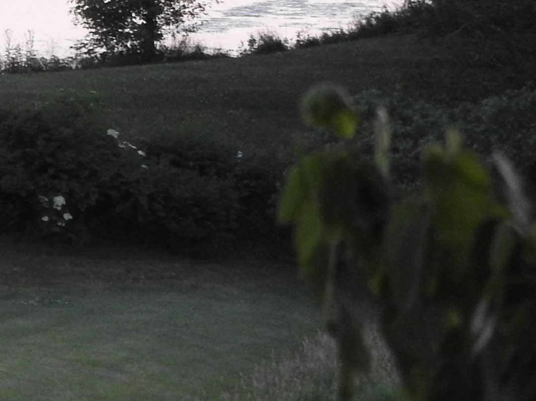 The Inn at Amish Door主图