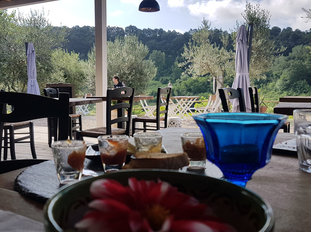 Bio Agriturismo Olistico Valle dei Calanchi主图
