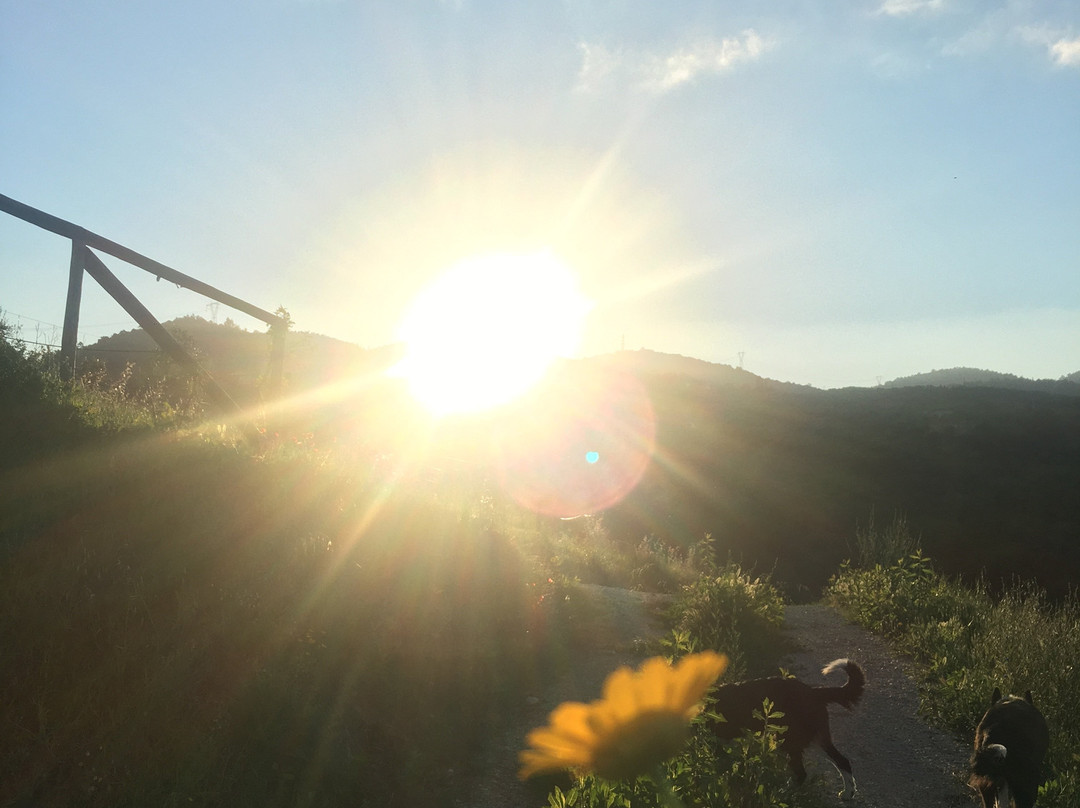 La Dispensa-bio Agriturismo主图