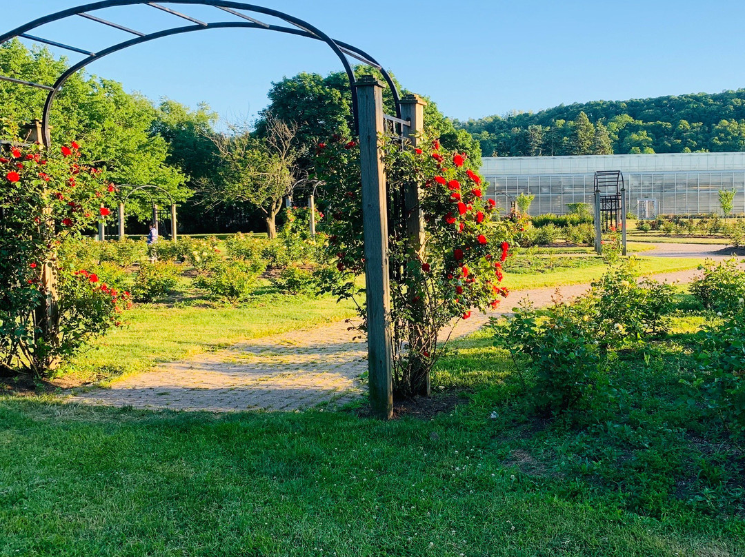 Gage Park-汉密尔顿必去景点