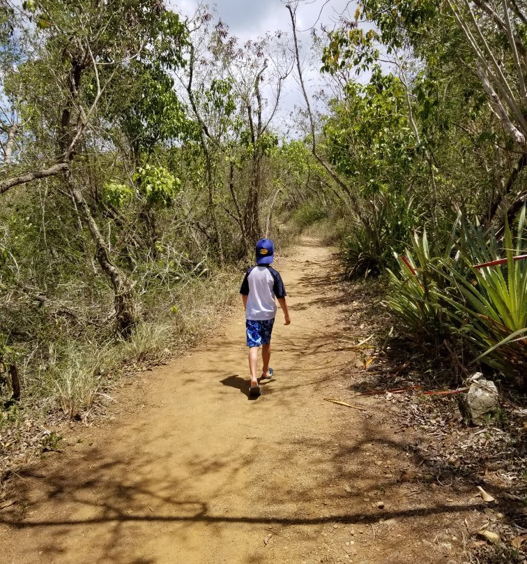 Lind Point Trail景点图片