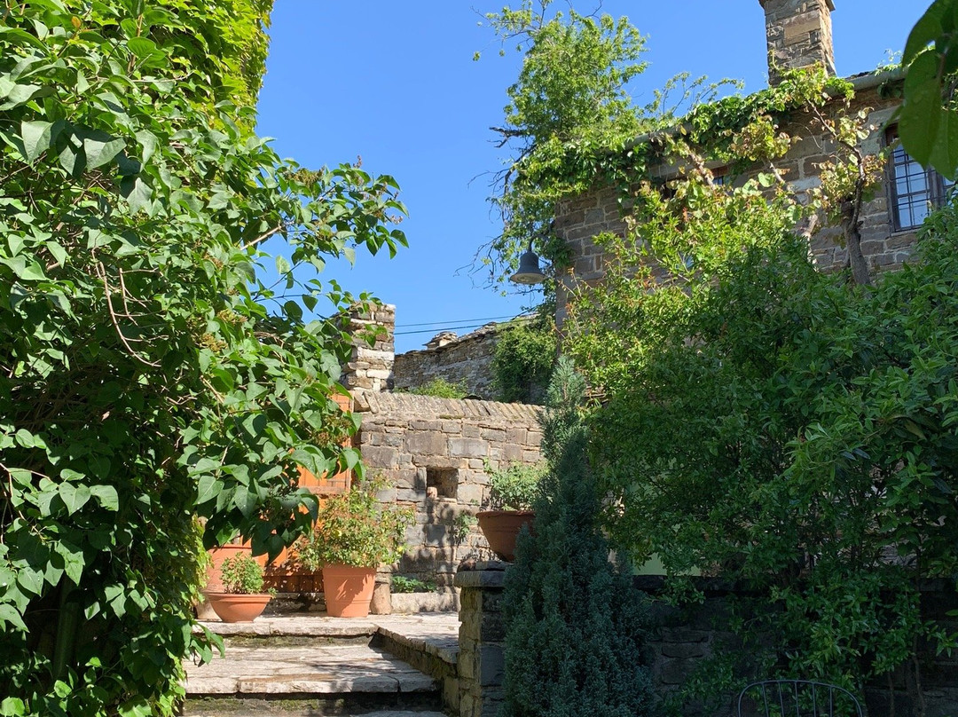 Saxonis Houses主图