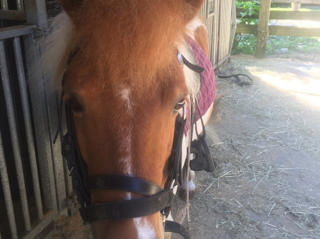 Centre Equestre de la Prade-Messanges必去景点