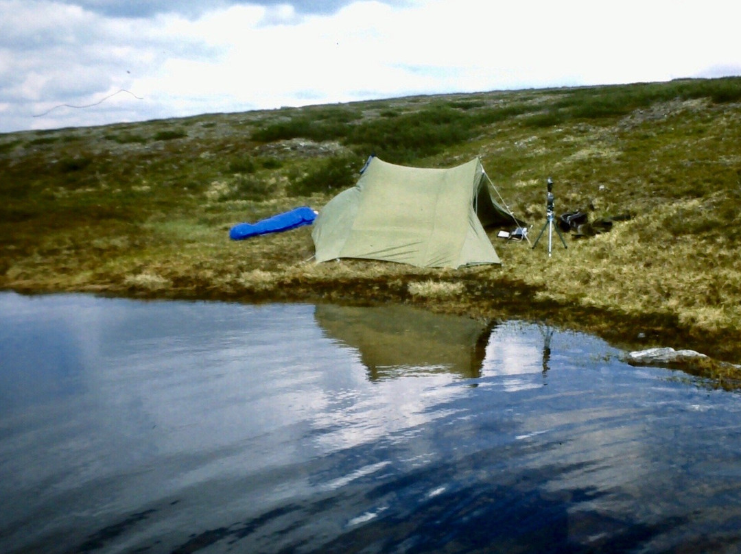 Ljungdalens Hemslojd & Cafe-Ljungdalen必去景点