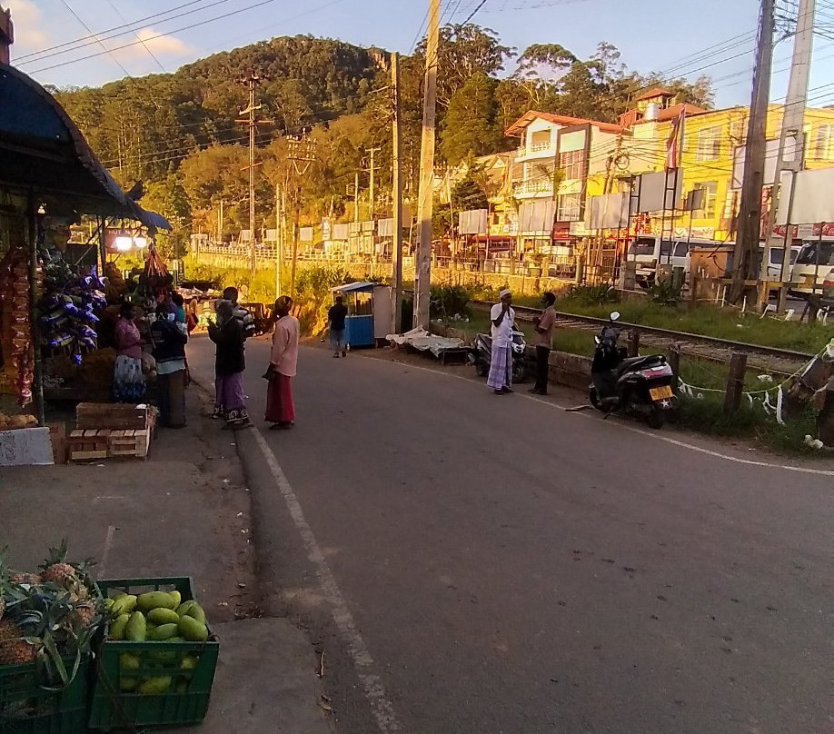 Abbas Tours Sri Lanka-哈普特莱必去景点