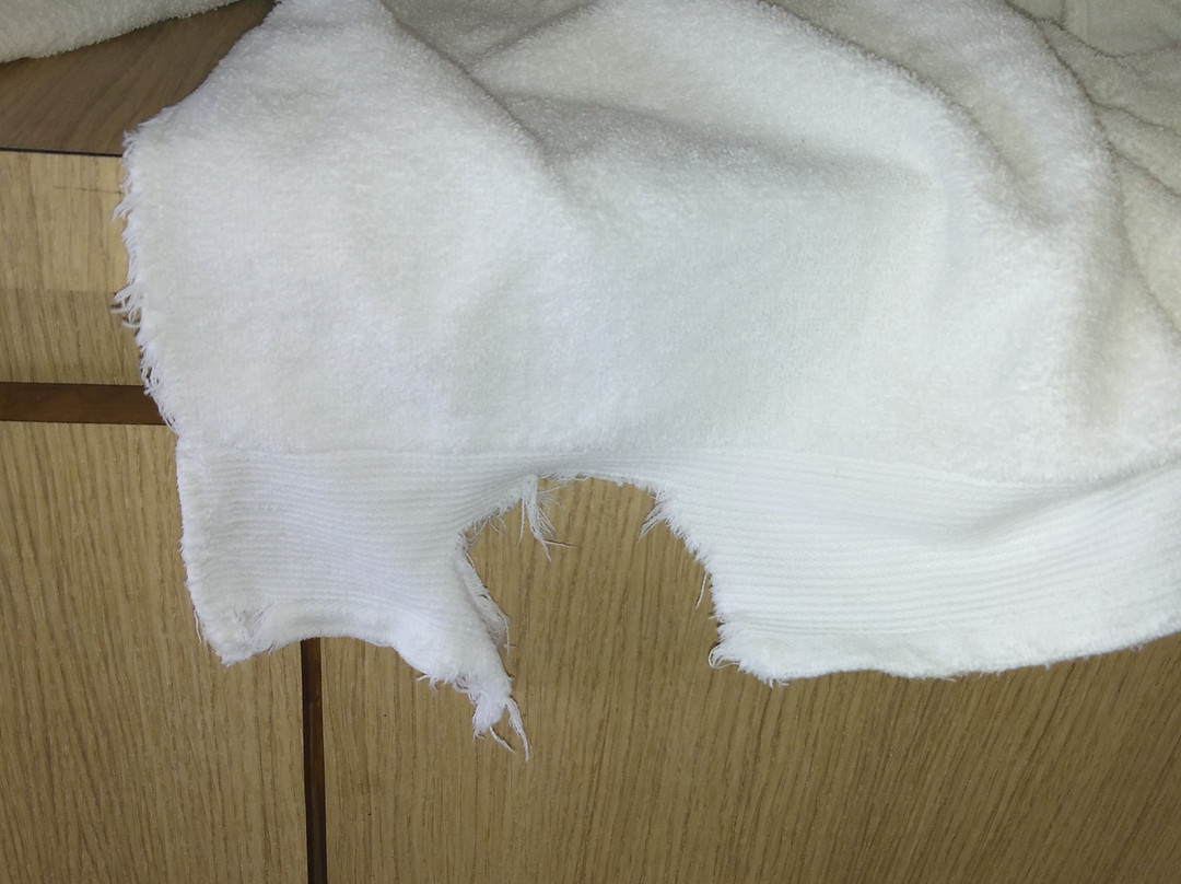 Hotel Royal Palace主图