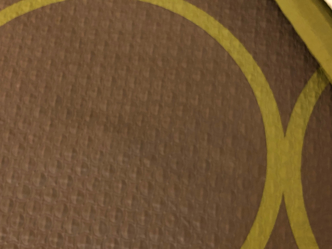 Super 8 by Wyndham Carthage TX主图