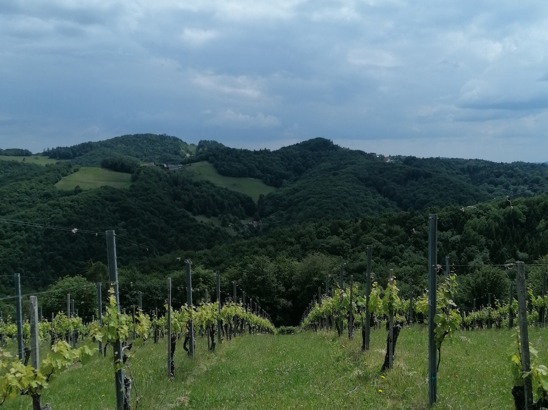 Winzerhauser J&A Skringer主图