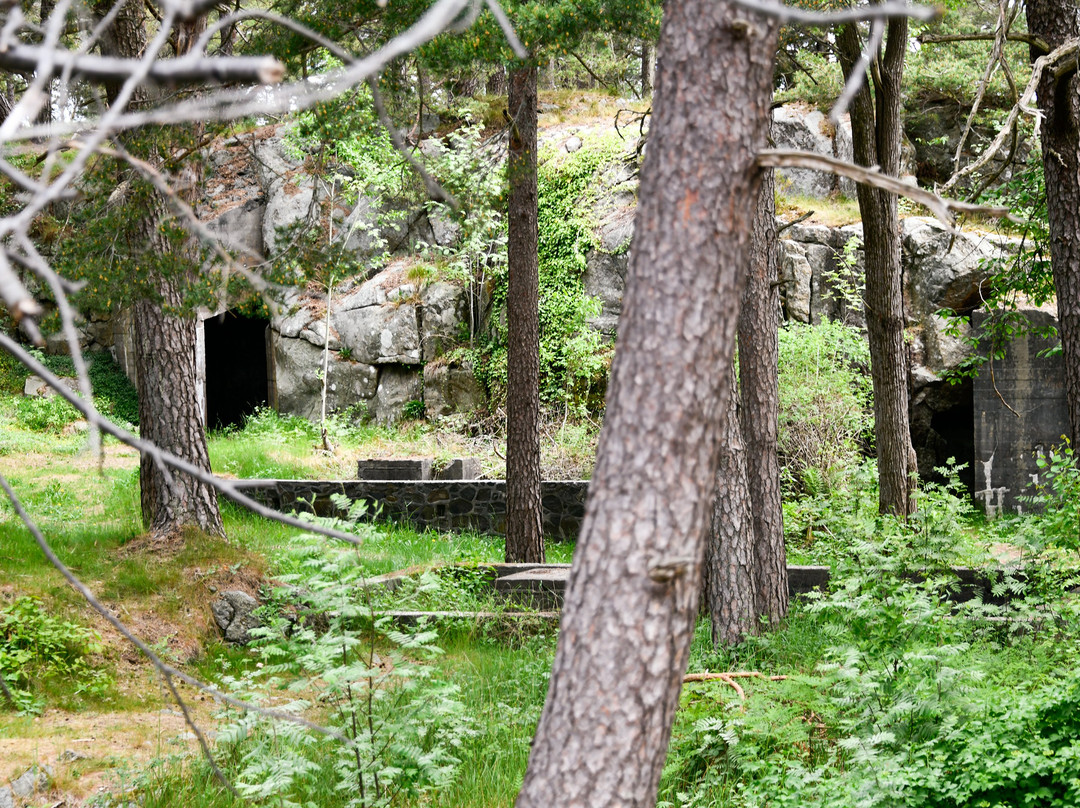 Kalvoysund Fort-Arendal必去景点