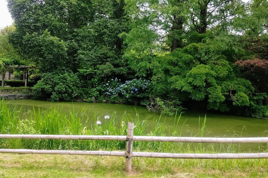 Fukaya Green Kingdom-深谷市必去景点