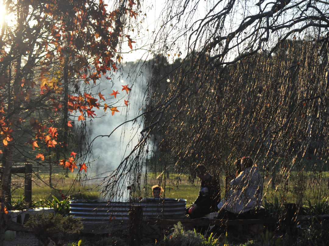 Lazy Ballerina Cellar Door-Dingabledinga必去景点