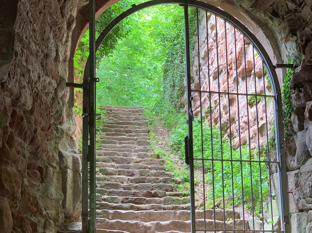 Burgruine Drachenfels-Busenberg必去景点