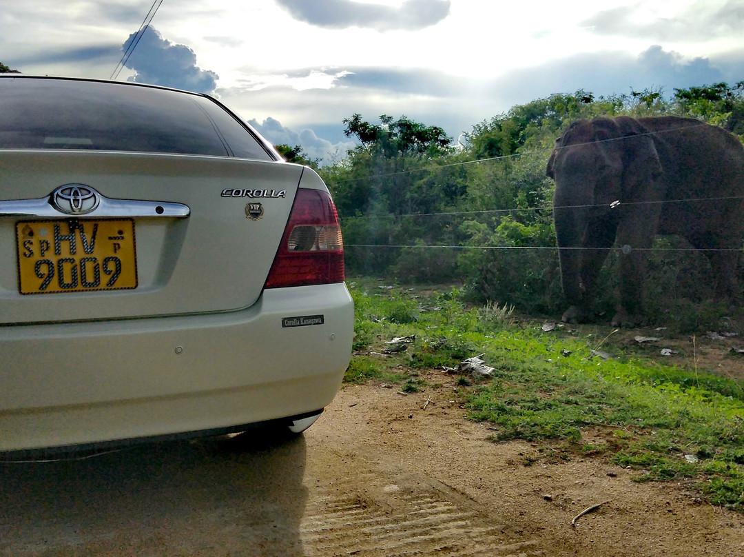 Lunugamvehera National Park-Tanamalwila必去景点