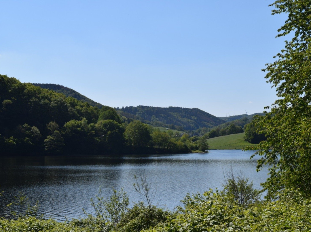 Nationalpark-Zentrum Eifel-Schleiden必去景点