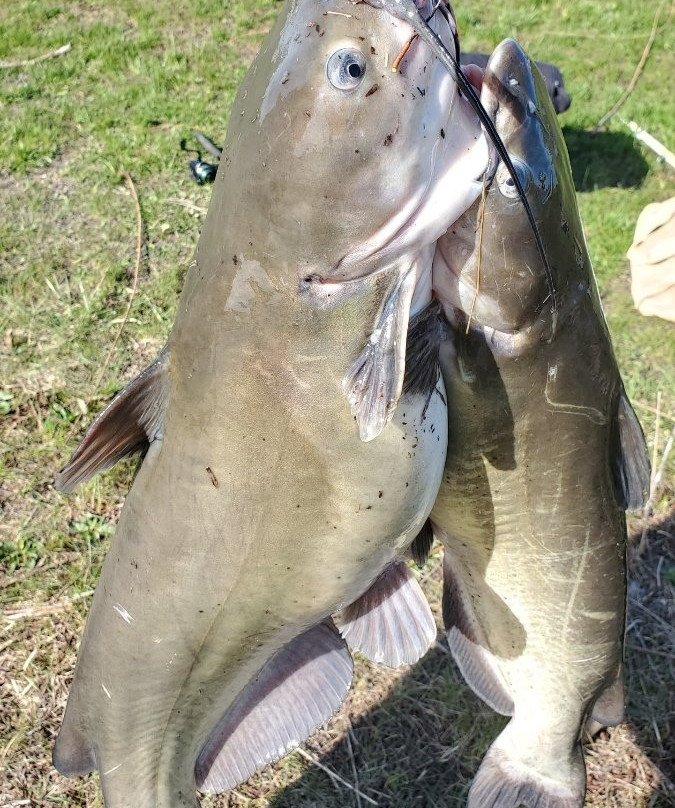Stonelick State Park-Pleasant Plain必去景点