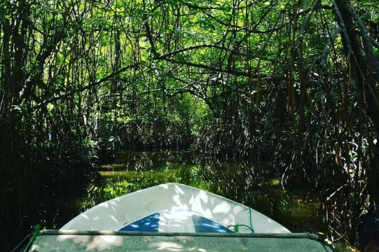 Island Divvy Tours-卡卢特勒必去景点