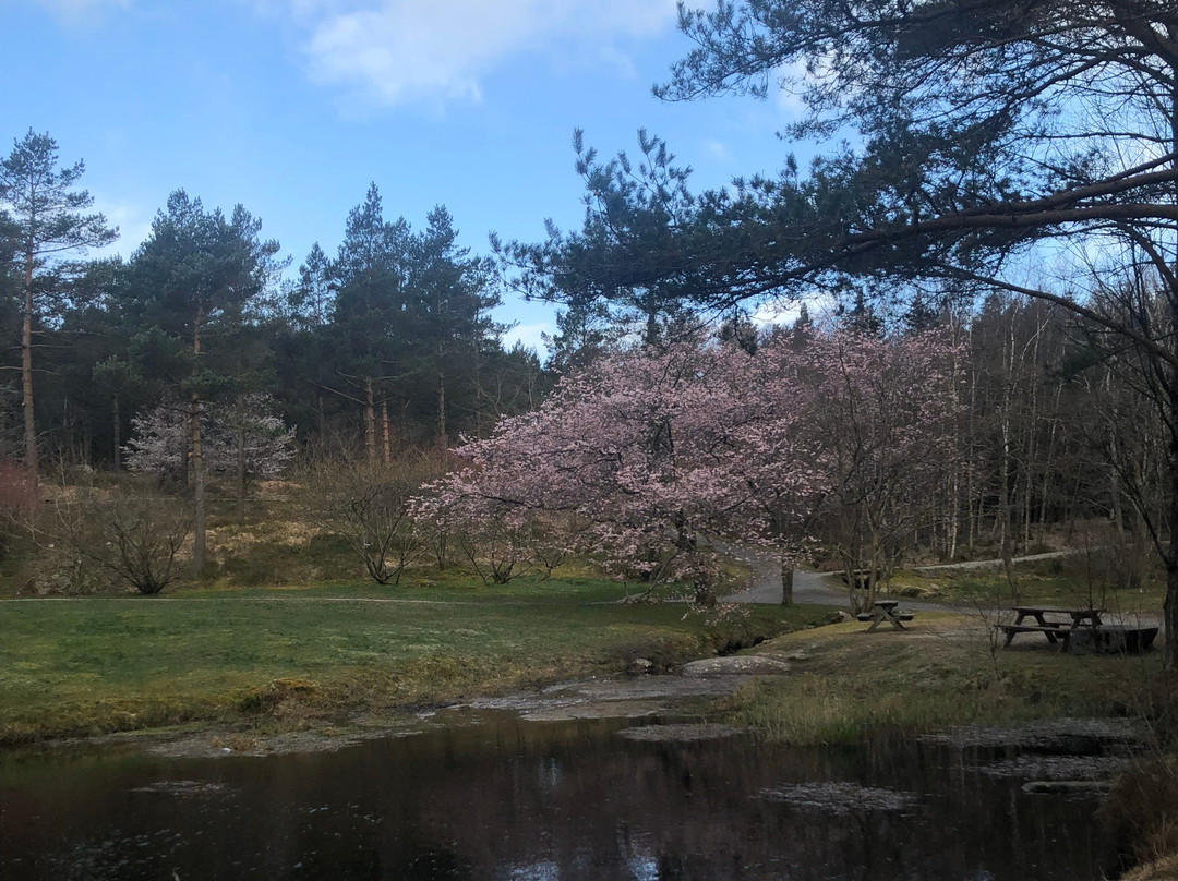 Rogaland Arboretum景点图片