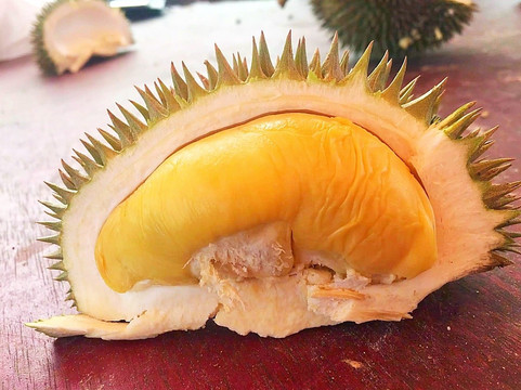 Pagoh旅游攻略图片