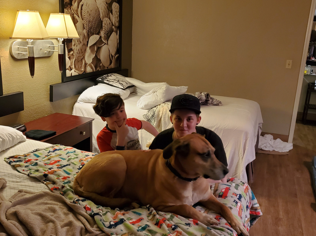 Super 8 by Wyndham Ormond Beach主图