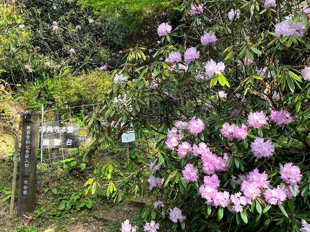 Jinkakuji Temple-丰后大野市必去景点