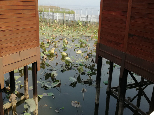 Hupin Hotel Khaung Daing主图