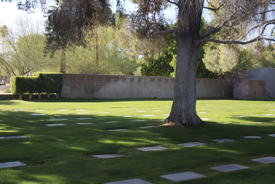 Desert Memorial Park-棕榈泉市必去景点
