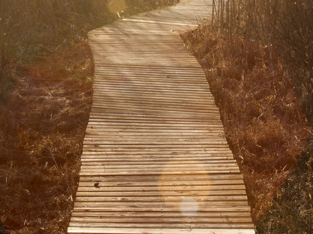 Kishwauketoe Conservancy-Williams Bay必去景点