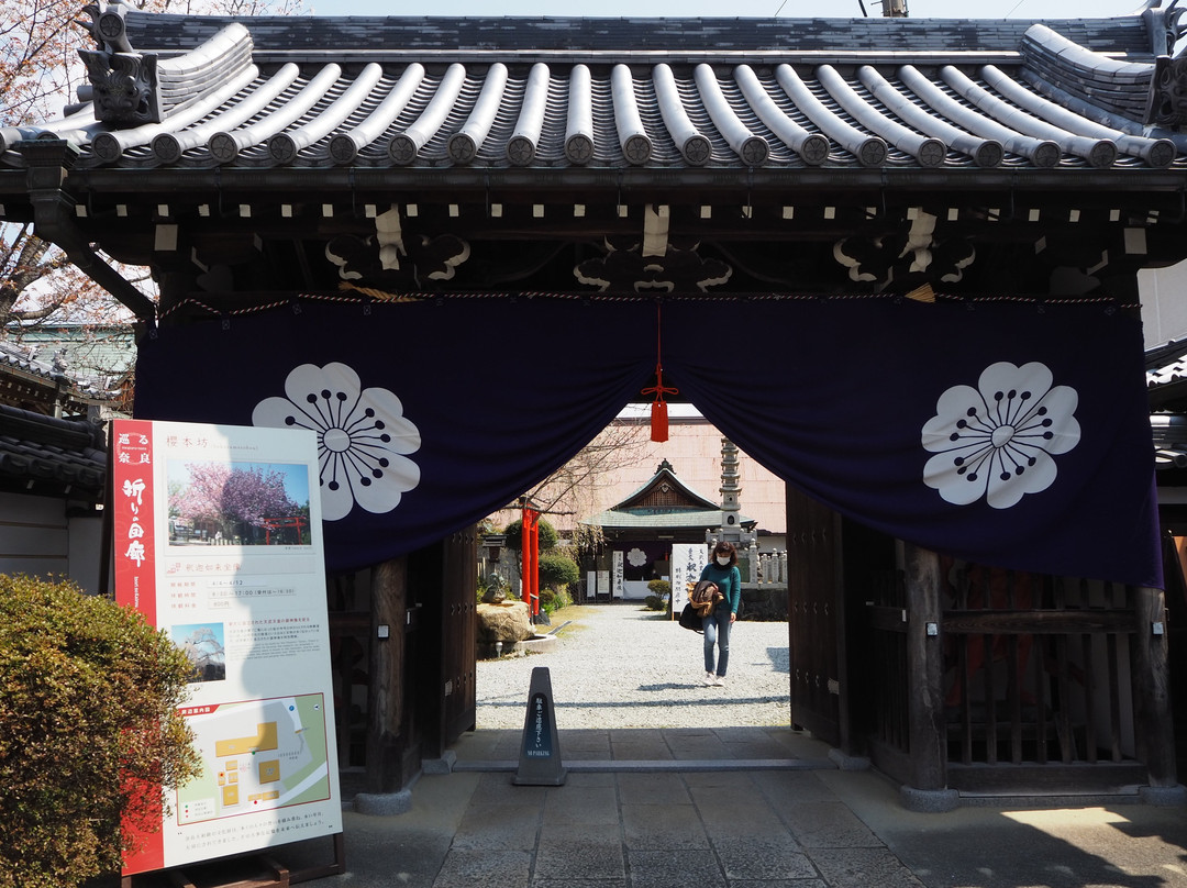 Sakuramotobo-吉野町必去景点
