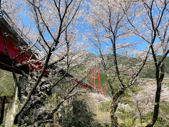 Owatari Dam Bridge-仁淀川町必去景点