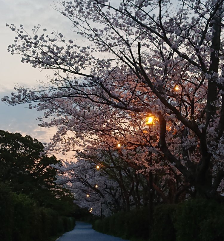 Amagi Park景点图片