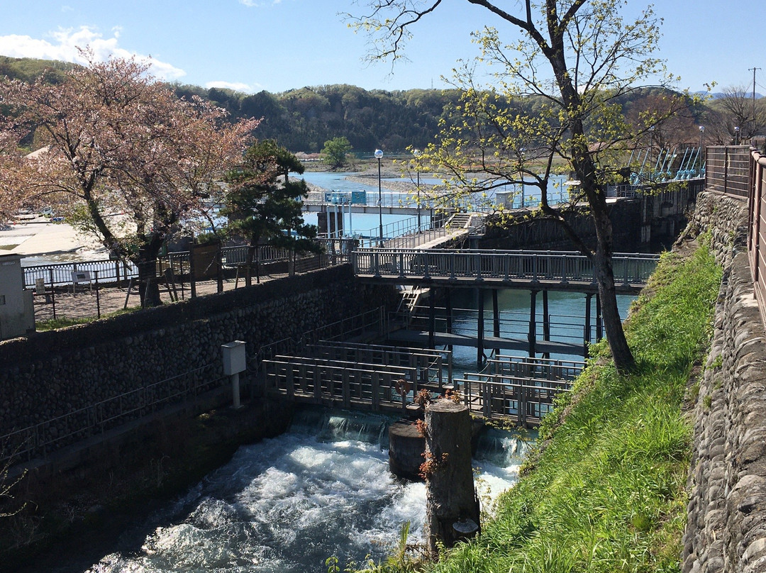 Hamura Syusuiseki-羽村市必去景点