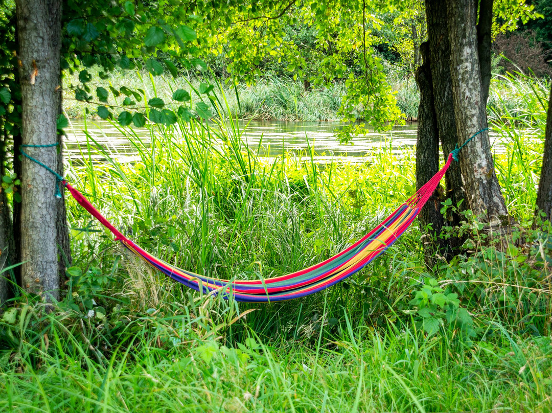 Wypożyczalnia kajaków Hydrostacja-Czarna Woda必去景点