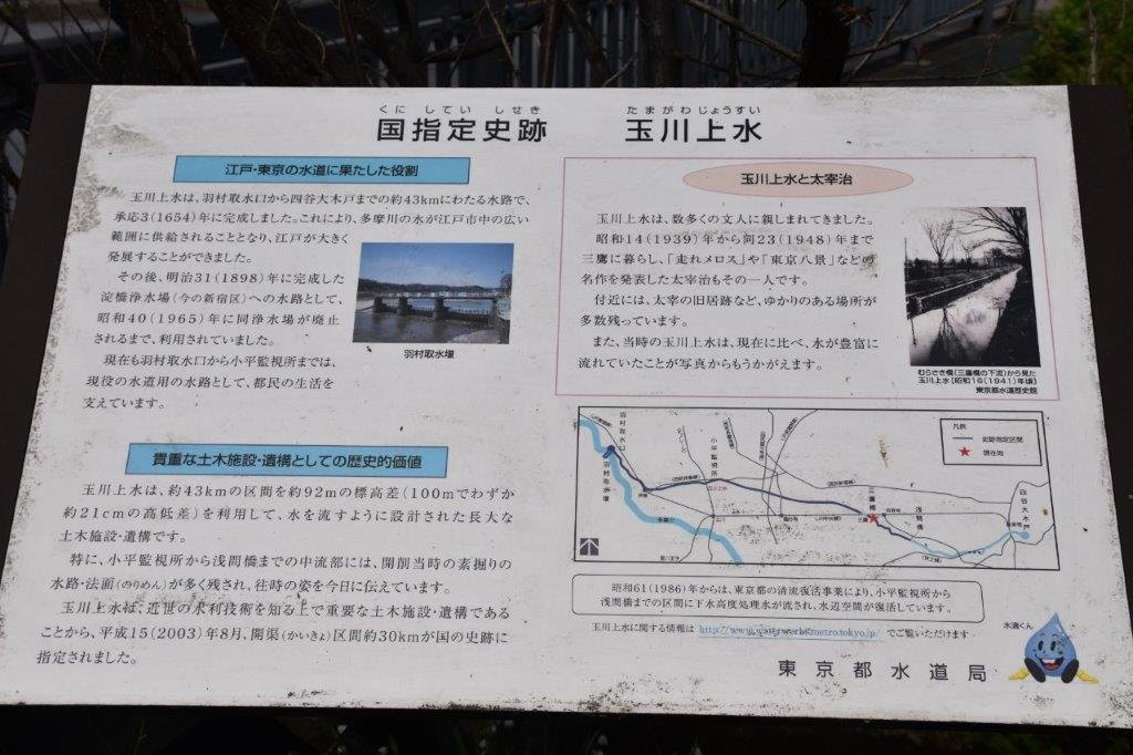 Tamagawa Green Road-三鹰市必去景点