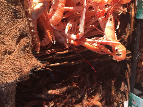 Hotel du Parc Dinard主图