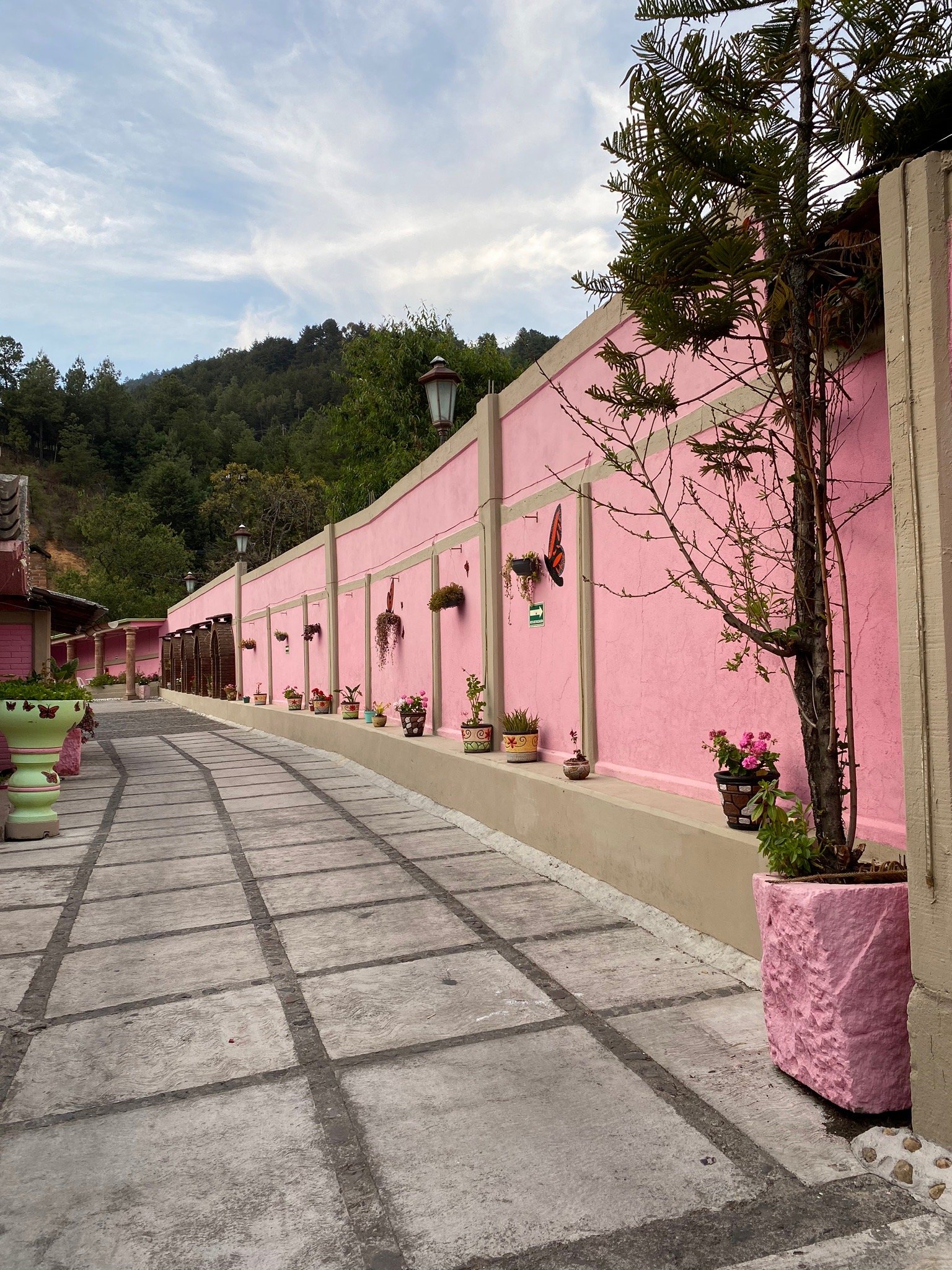 Hotel La Margarita-官方