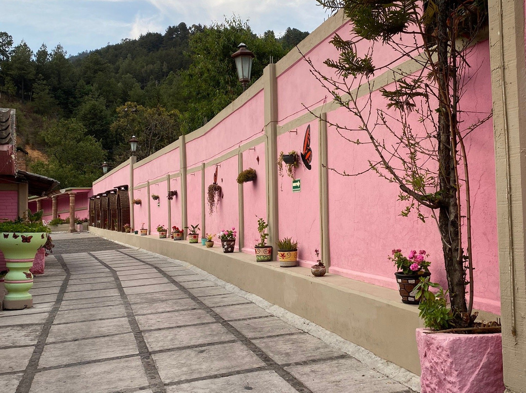 Hotel La Margarita主图