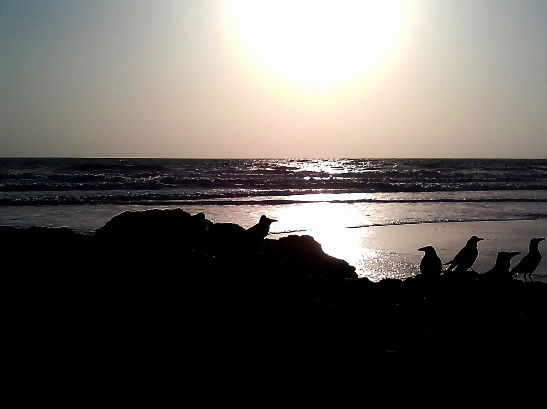Morjim Beach景点图片